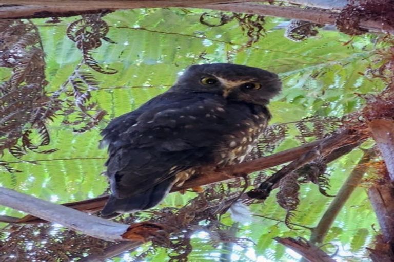 Photo of property in 128 Spur Road, Stillwater, Silverdale, 0993