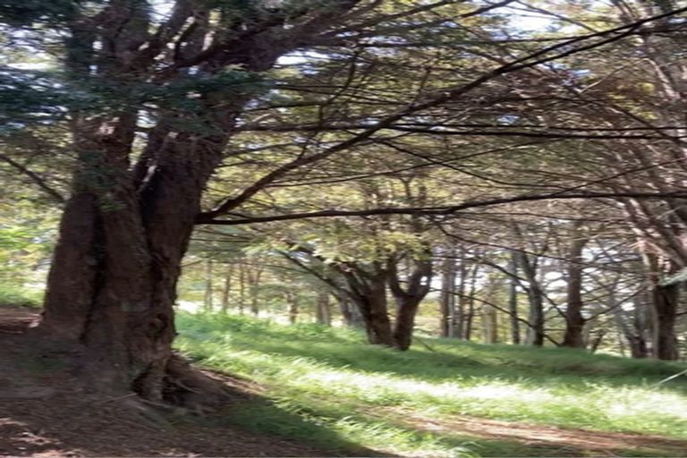 Photo of property in 123 Colville Road, Dargaville, 0377