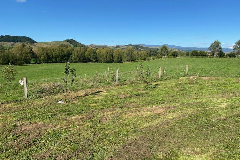 Photo of property in 305 Waitetuna Valley Road, Waitetuna, Raglan, 3295