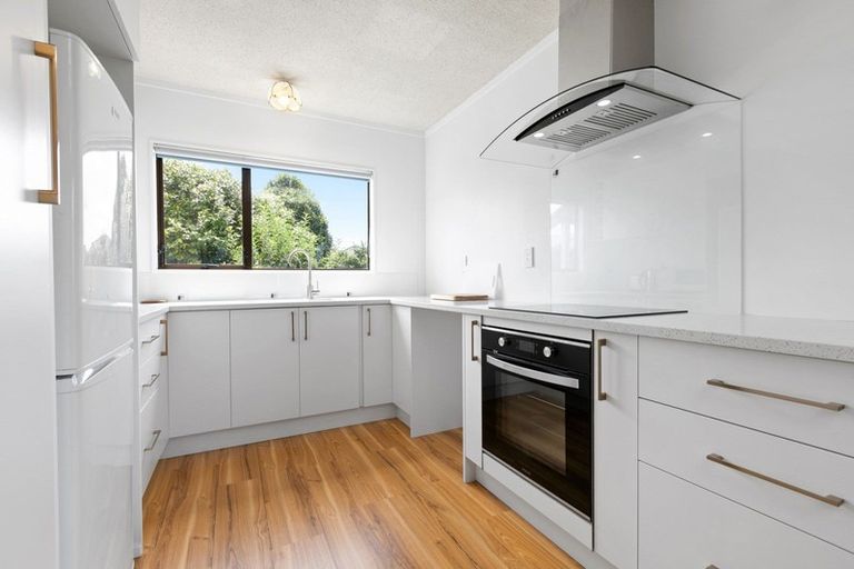 Photo of property in 105a Greerton Road, Gate Pa, Tauranga, 3112