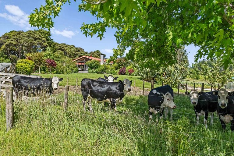 Photo of property in 241a Ararimu Valley Road, Helensville, Waimauku, 0882