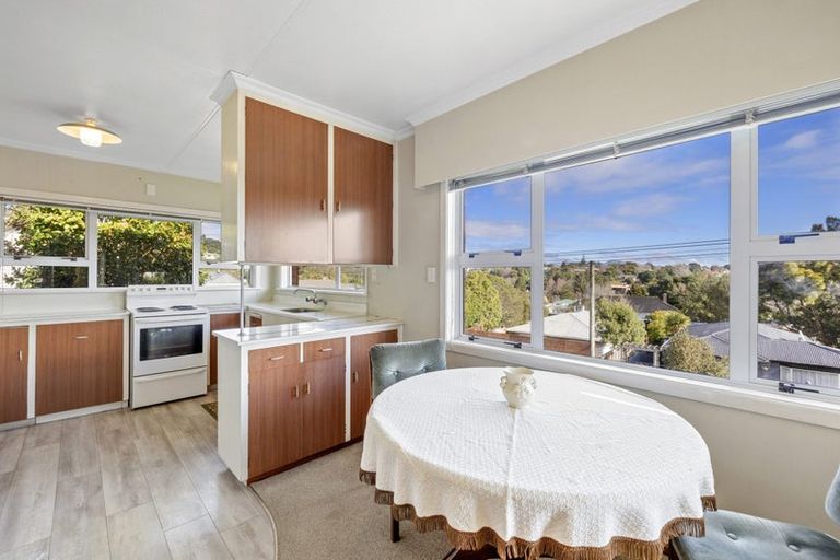 Photo of property in 44 Essex Street, Vogeltown, New Plymouth, 4310