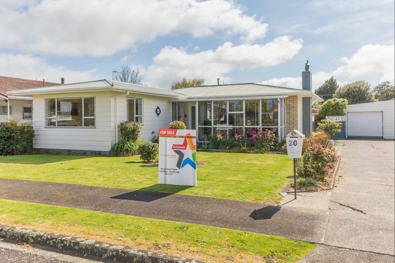 Photo of property in 20 Charles Street, Levin, 5510