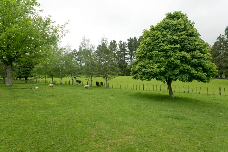 Photo of property in 634 Oruanui Road, Oruanui, Taupo, 3384