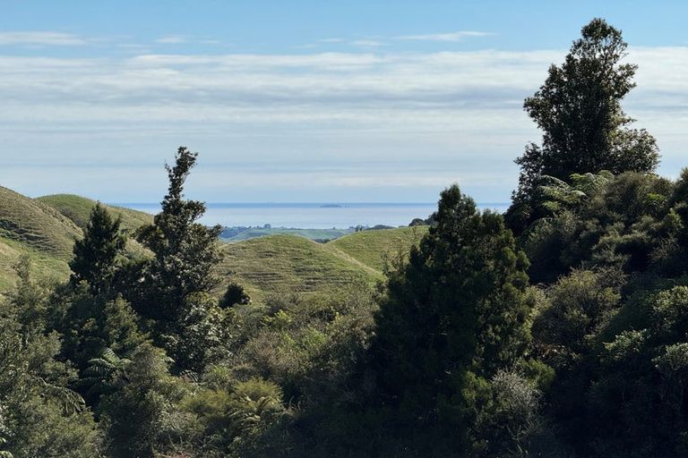 Photo of property in 1158 Manawahe Road, Matata, Whakatane, 3194