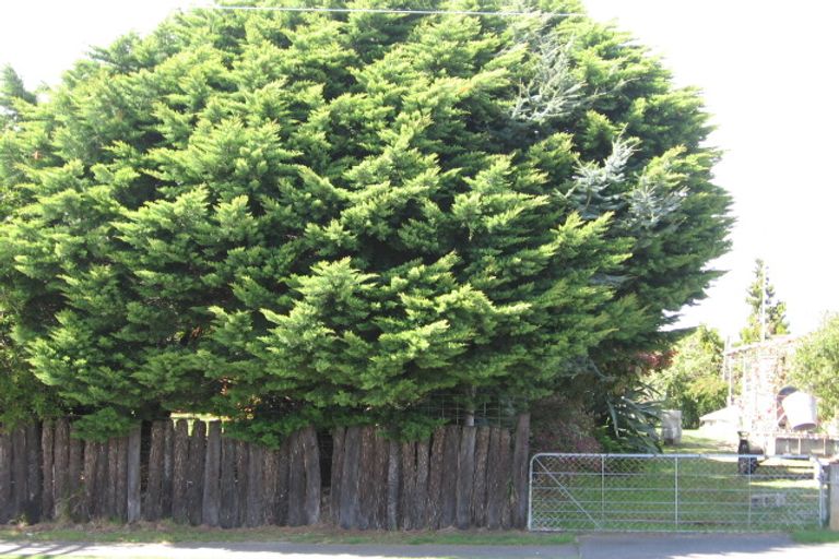 Photo of property in 114 Elizabeth Street, Tauhara, Taupo, 3330