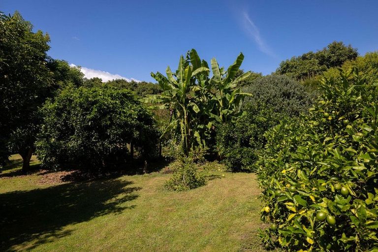 Photo of property in 313 Youngson Road, Whakamarama, Tauranga, 3179