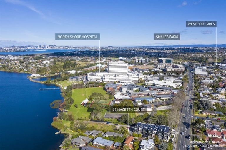 Photo of property in 16 Macbeth Court, Milford, Auckland, 0620