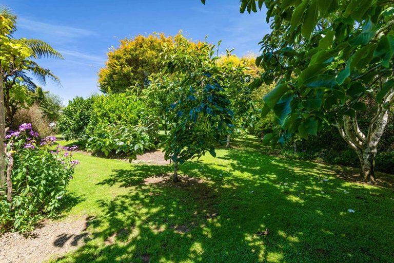 Photo of property in 608 Hurford Road, Hurford, New Plymouth, 4374