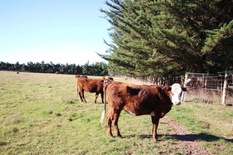 Photo of property in 85 Browns Road, Okuku, Rangiora, 7473