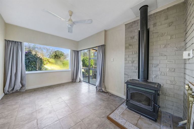 Photo of property in 47 Graham Street, Levin, 5510