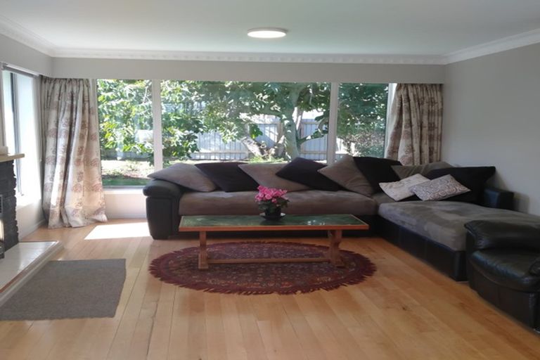 Photo of property in 318 Maungatapu Road, Maungatapu, Tauranga, 3112