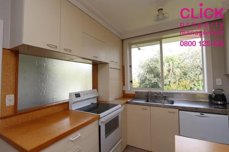 Photo of property in 59 Mailer Street, Mornington, Dunedin, 9011