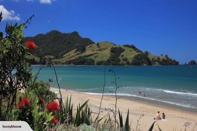 Photo of property in 7 Powhiri Place, Wharekaho, Whitianga, 3510