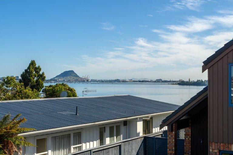 Photo of property in 19a Vine Avenue, Maungatapu, Tauranga, 3112