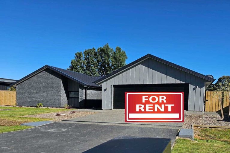 Photo of property in 55 Canterbury Street, Ashley, Rangiora, 7477