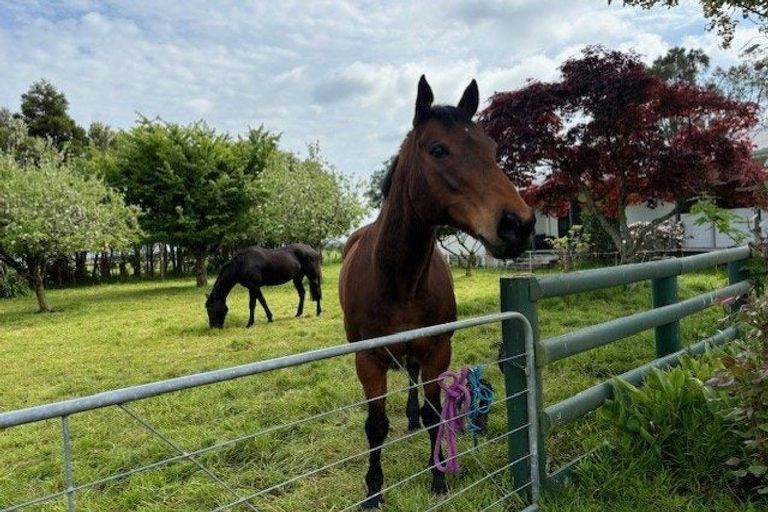 Photo of property in 249 Tararua Road, Levin, 5571