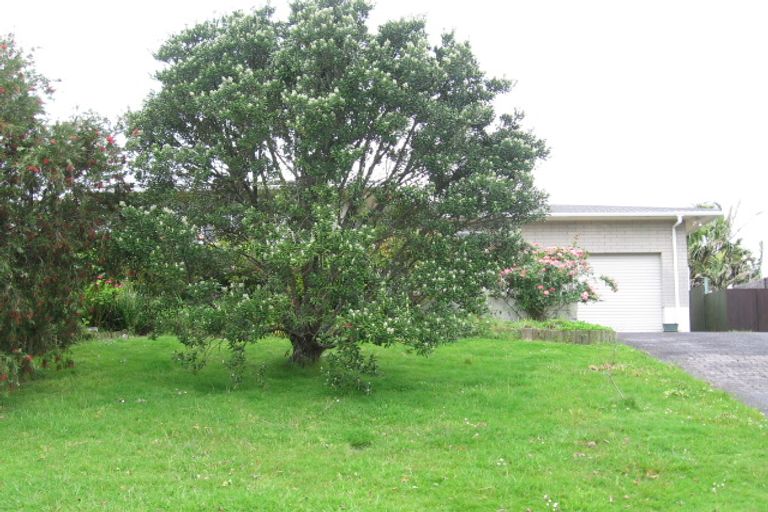 Photo of property in 12 Palm Court Drive, Glen Eden, Auckland, 0602