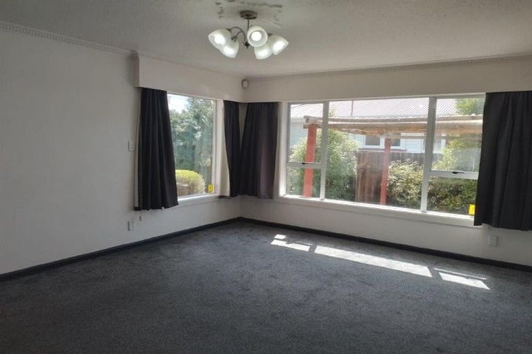 Photo of property in 24 Digby Place, Bromley, Christchurch, 8062