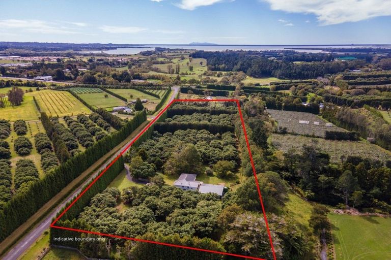Photo of property in 43 Thompsons Track, Aongatete, Katikati, 3178