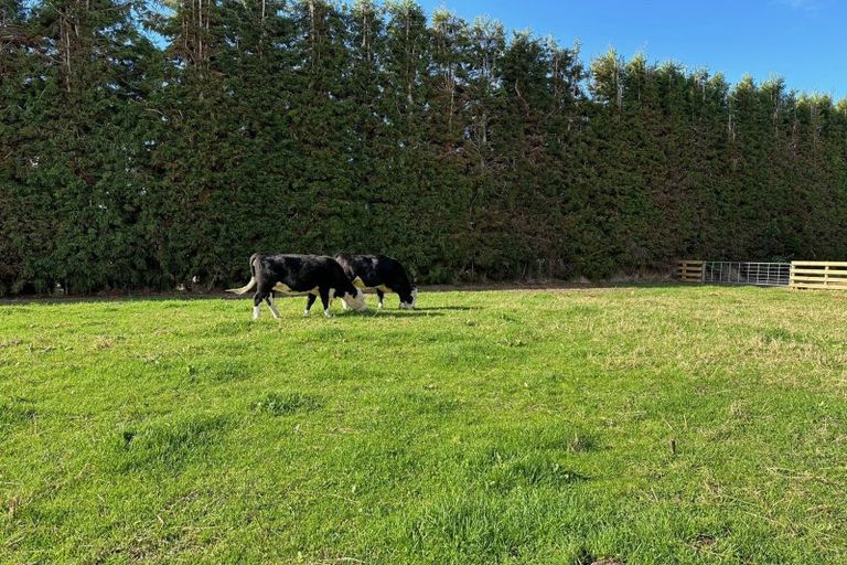 Photo of property in 50 Tetley Road, Tahawai, Katikati, 3178