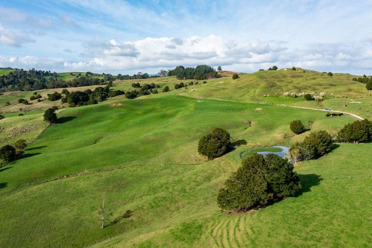 Photo of property in 184 Tangowahine Valley Road, Tangowahine, 0372