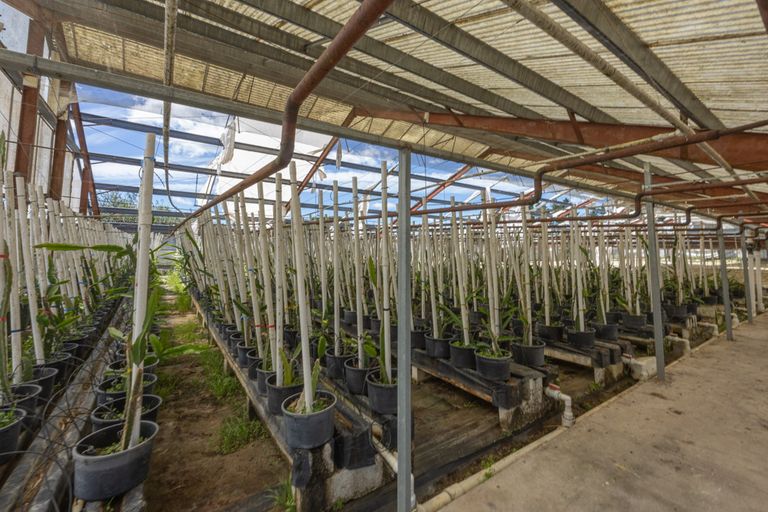 Photo of property in 123 Jesmond Road, Karaka, Drury, 2578