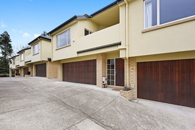 Photo of property in 15c Manning Street, Hamilton Central, Hamilton, 3204