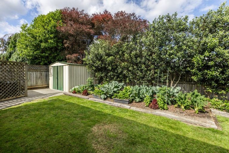 Photo of property in 44 Woodlands Drive, Havelock North, 4130