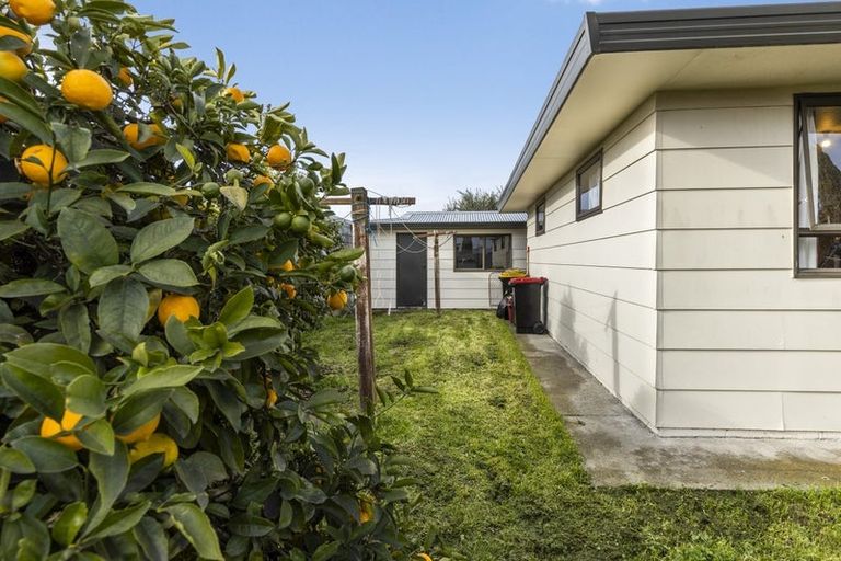 Photo of property in 118 Cleghorn Street, Redwoodtown, Blenheim, 7201