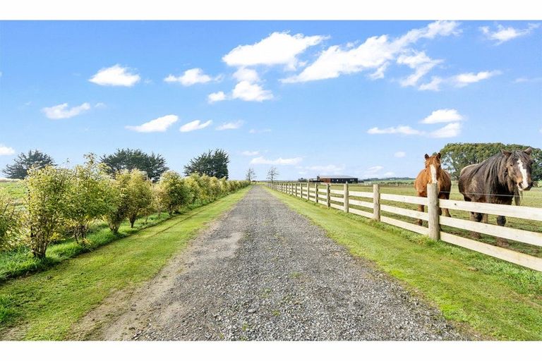 Photo of property in 390 Mill Road North, Myross Bush, Invercargill, 9876