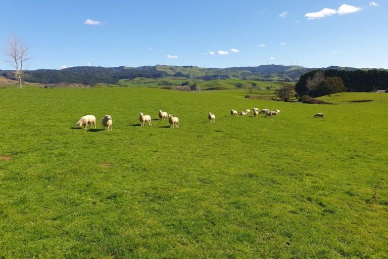 Photo of property in 777 Waitetuna Valley Road, Waitetuna, Raglan, 3295