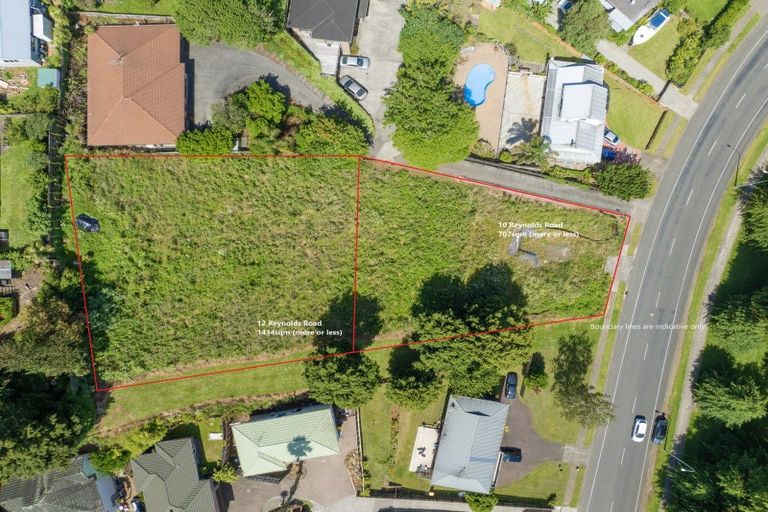 Photo of property in 10 Reynolds Road, Pukekohe, 2120