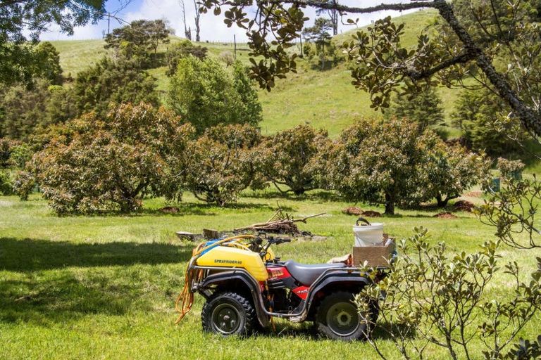 Photo of property in 520 Wright Road, Aongatete, Katikati, 3181