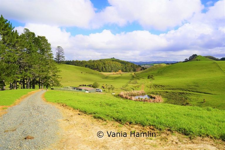 Photo of property in 533 Pataua South Road, Pataua South, Onerahi, 0192