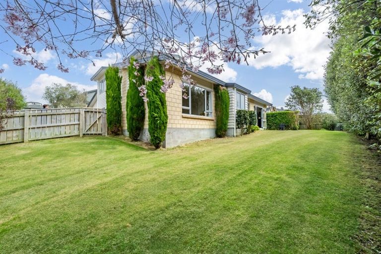 Photo of property in 31 Te Puia Drive, Aotea, Porirua, 5024