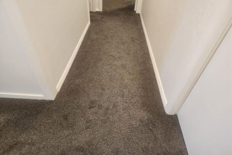 Photo of property in 12 Beauchamp Street, Tawa, Wellington, 5028