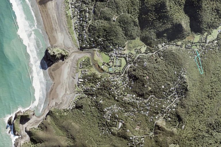 Photo of property in 79 Glenesk Road, Piha, New Lynn, 0772