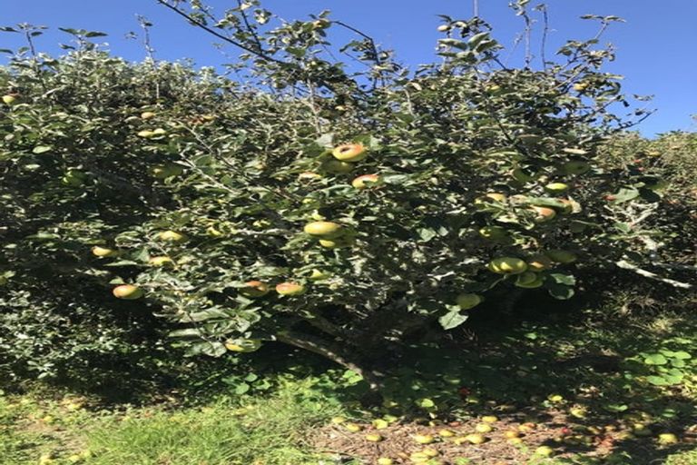 Photo of property in 16 Huia Street, Waikanae, 5036