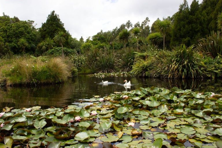 Photo of property in 828 Dover Road, Okato, New Plymouth, 4374
