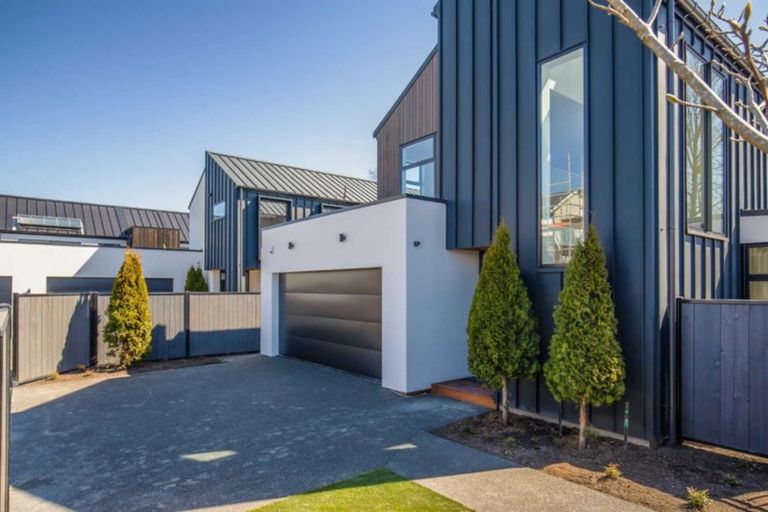 Photo of property in 45 Repton Street, Merivale, Christchurch, 8014