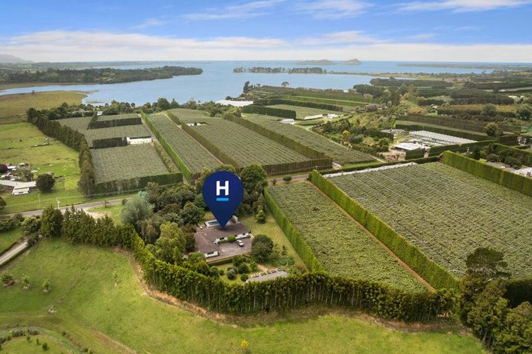 Photo of property in 116 Tuapiro Road, Tahawai, Katikati, 3170