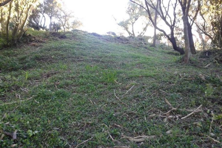 Photo of property in 53 Ngaio Gorge Road, Ngaio, Wellington, 6035