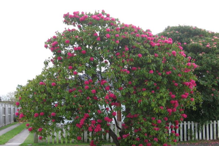 Photo of property in 18a Dawson Drive, Ngongotaha, Rotorua, 3010