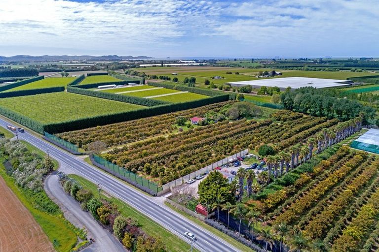 Photo of property in 341 Wharerata Road, Matawhero, Gisborne, 4071