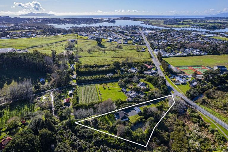 Photo of property in 114 Moir Street, Mangawhai, 0505