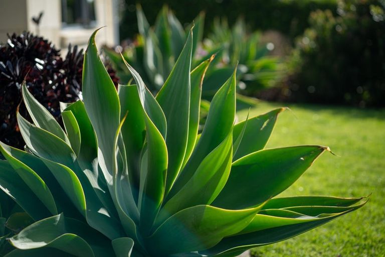 Photo of property in 18 Takahe Drive, Paraparaumu Beach, Paraparaumu, 5032