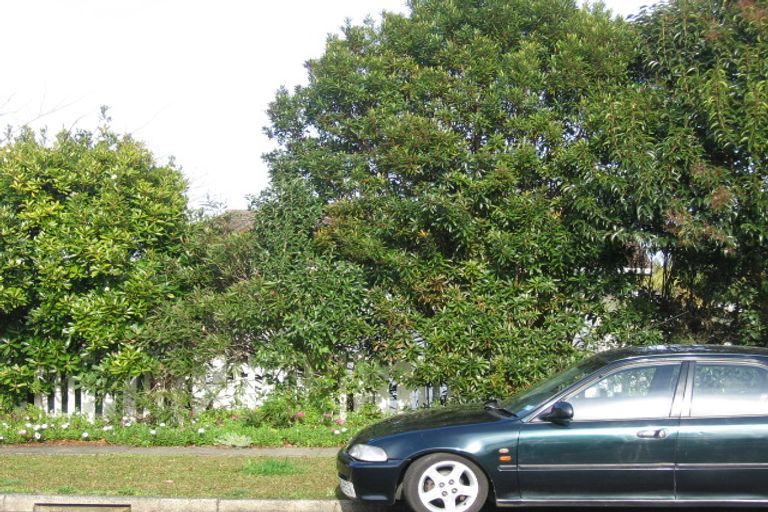 Photo of property in 25 Escalona Street, Te Kamo, Whangarei, 0112