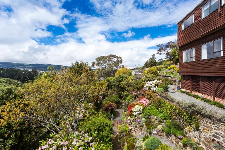 Photo of property in 88 Braeview Crescent, Maori Hill, Dunedin, 9010