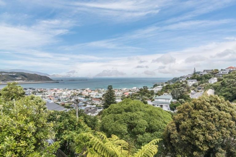 Photo of property in 42 Buckingham Street, Melrose, Wellington, 6023